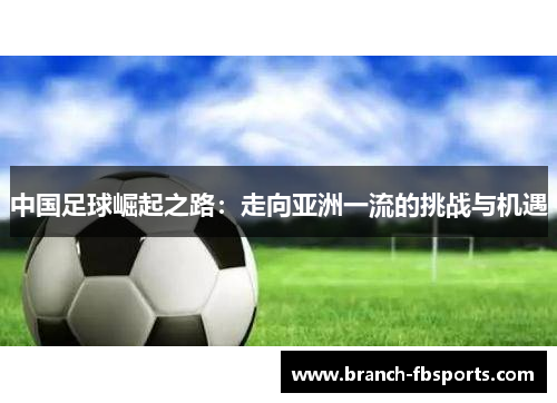 中国足球崛起之路：走向亚洲一流的挑战与机遇