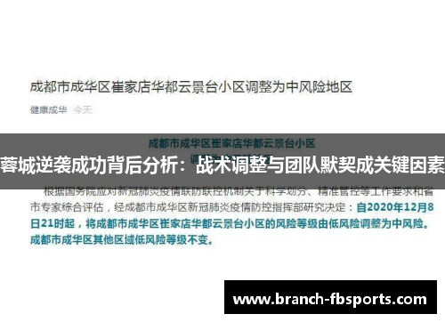 蓉城逆袭成功背后分析：战术调整与团队默契成关键因素