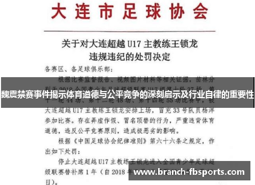 魏震禁赛事件揭示体育道德与公平竞争的深刻启示及行业自律的重要性