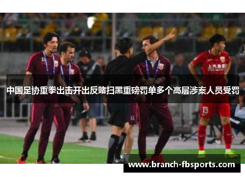 中国足协重拳出击开出反赌扫黑重磅罚单多个高层涉案人员受罚